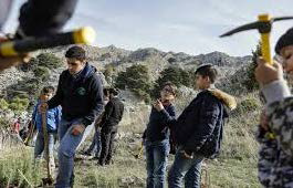 CONTINUOUS SUPPORT TO REFORESTATION